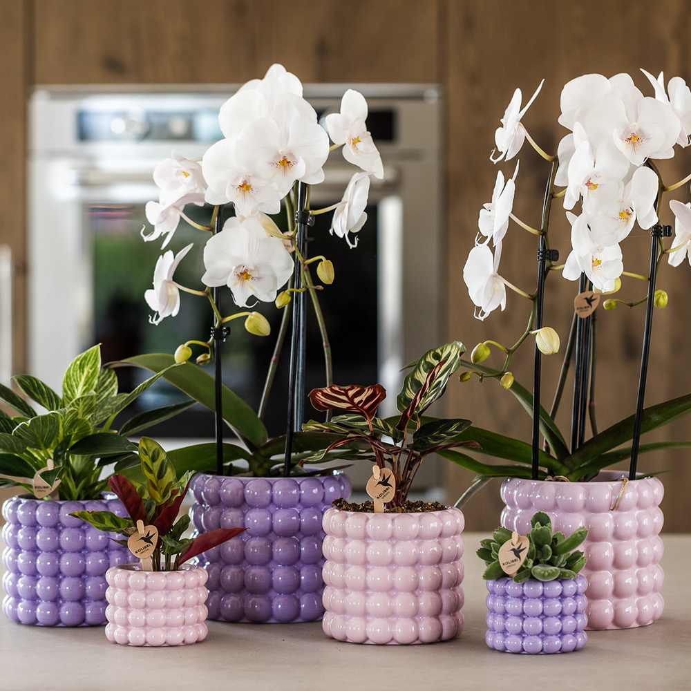 Kolibri Home | Poppy Decorative Pot - Pink - Ø9cm