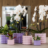 Poppy Decorative Pot - Purple - Ø9cm
