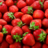 3x BIO Strawberry plants set