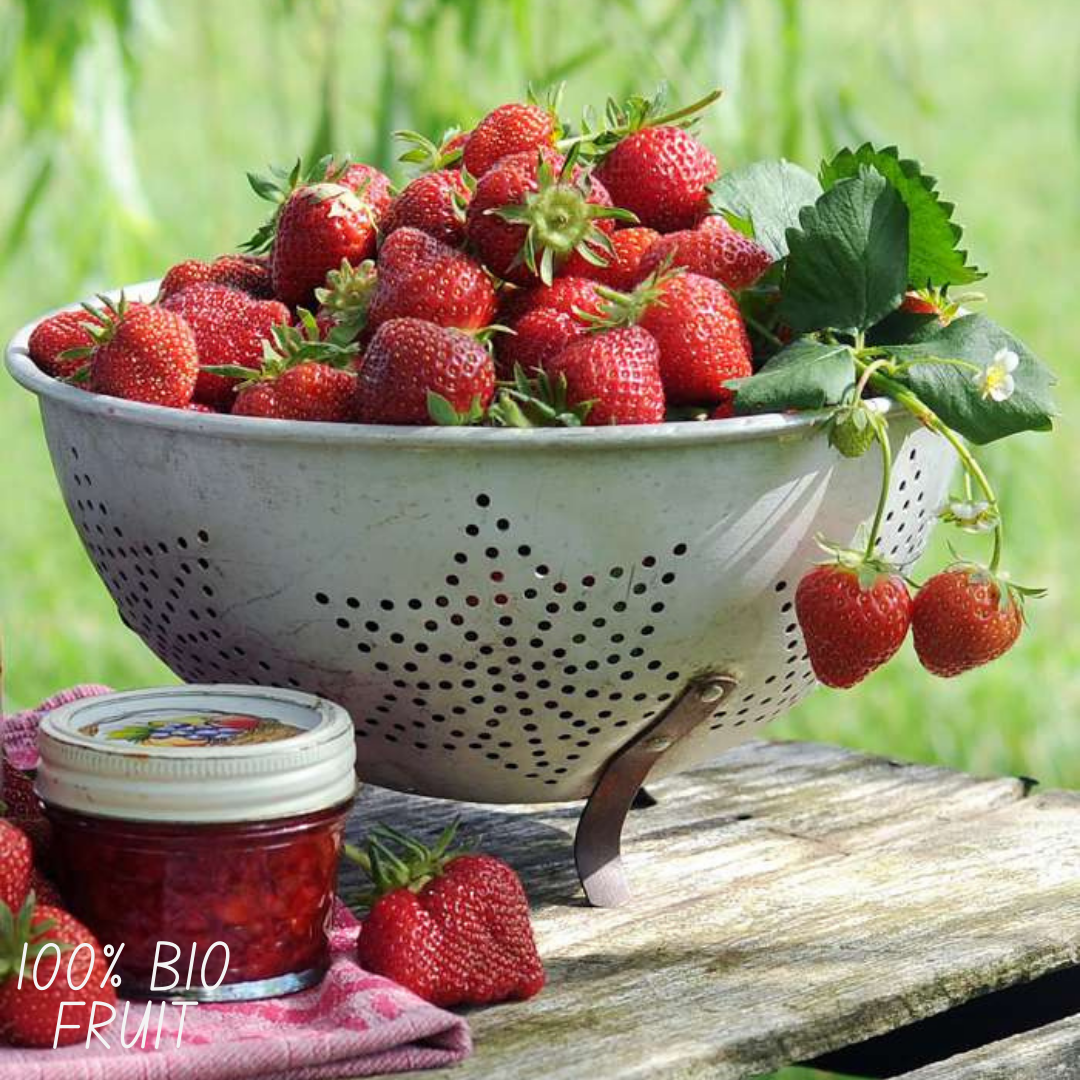 3x BIO Strawberry plants set