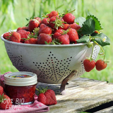3x BIO Strawberry plants set