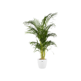 Pot elho Brussels Round White D30 x H27