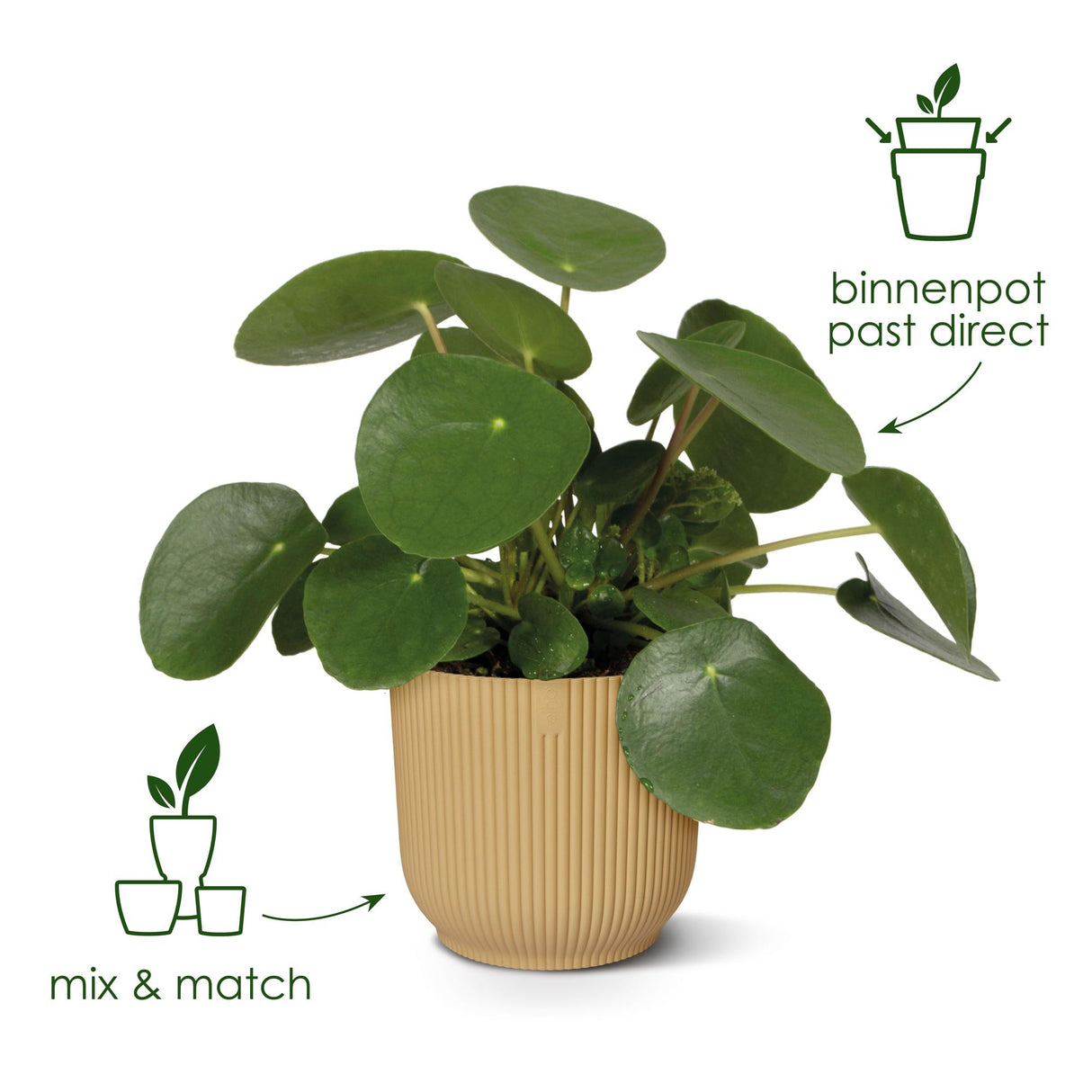 Pot elho Vibes Fold Round yellow - D14 x H13