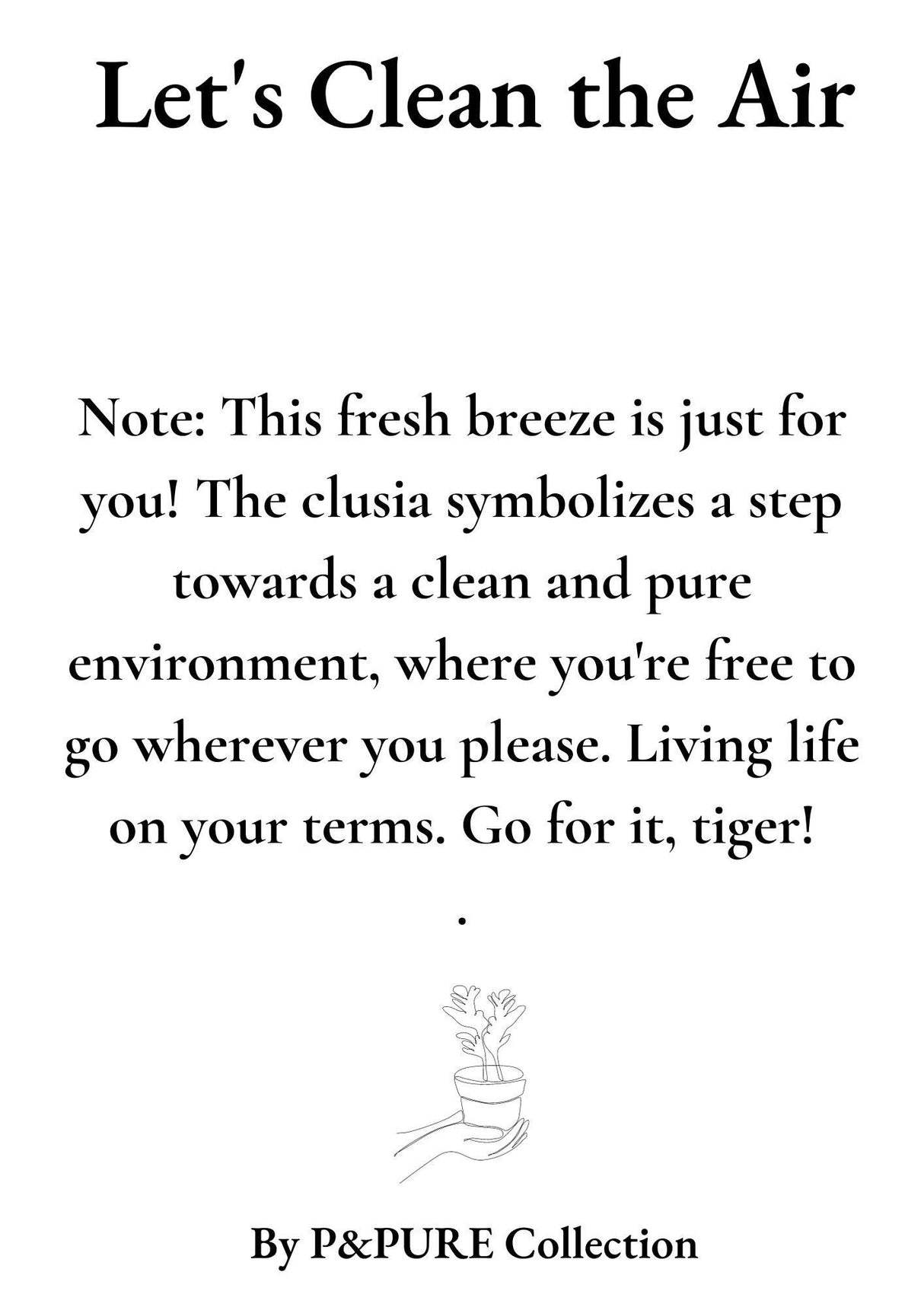 Clusia Rosea Gift WITH GREETING CARD! - Ø12cm - ↕30cm