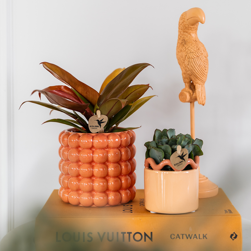 Poppy Decorative Pot - Orange - Ø9cm