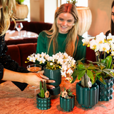 Diabolo Decorative Green Pot