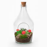 Love in a Bottle - DIY Open Planten terrarium - Ø 16 cm ↑ 30 cm