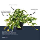 Tradescantia Grün/Weiß im Topf - 19 cm - Kunstpflanze