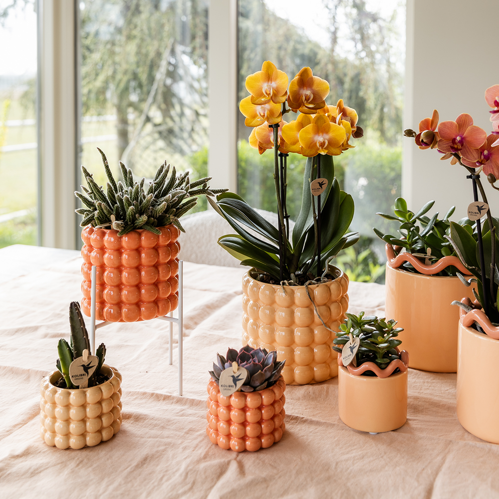Poppy Decorative Pot - Orange - Ø9cm