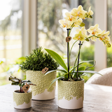 Kolibri Home | Bloom sierpot - Green - Ø12cm