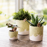 Kolibri Home | Bloom sierpot - Green - Ø12cm