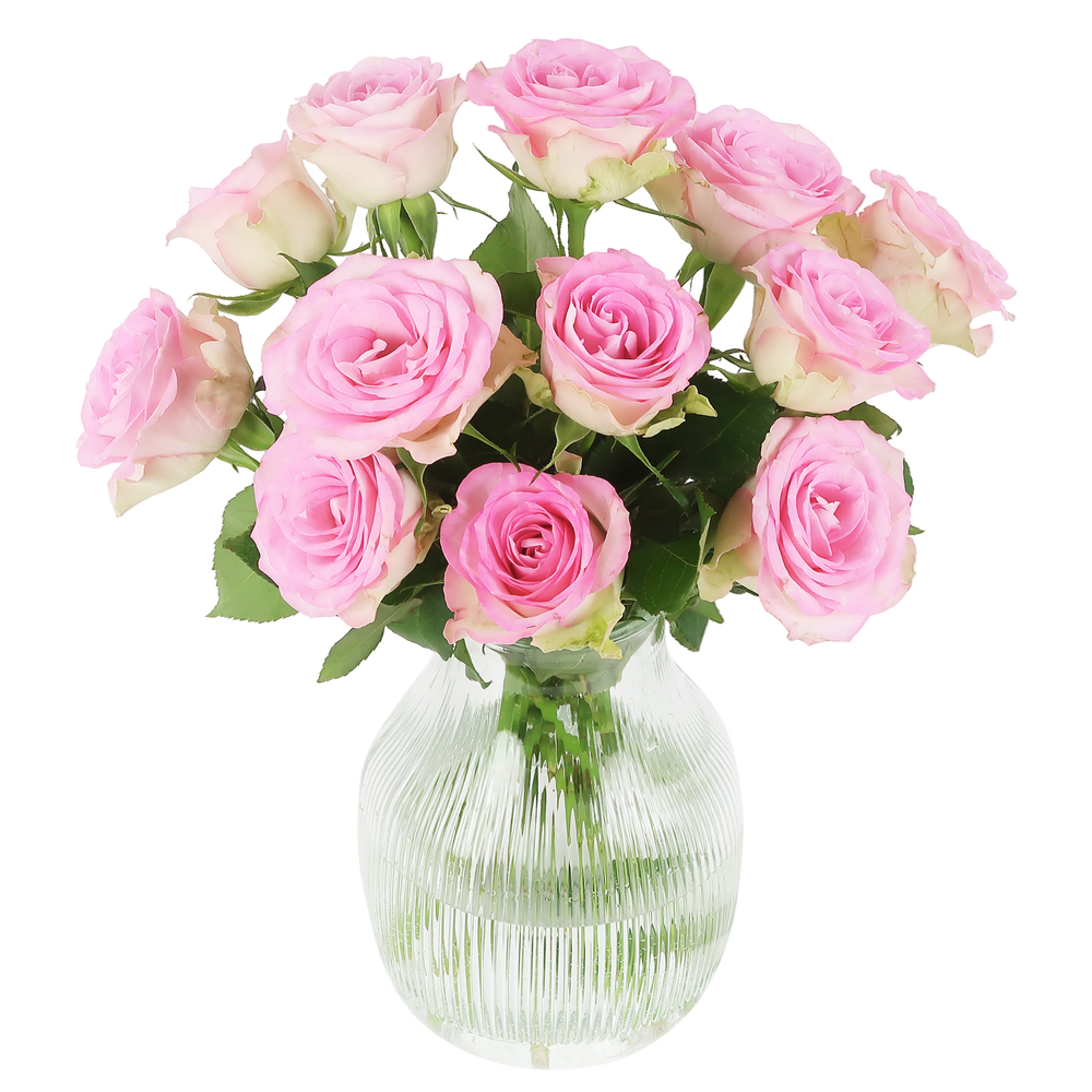 Sweet roses - pink roses in letterbox package