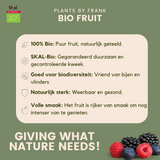 3x BIO Strawberry plants set