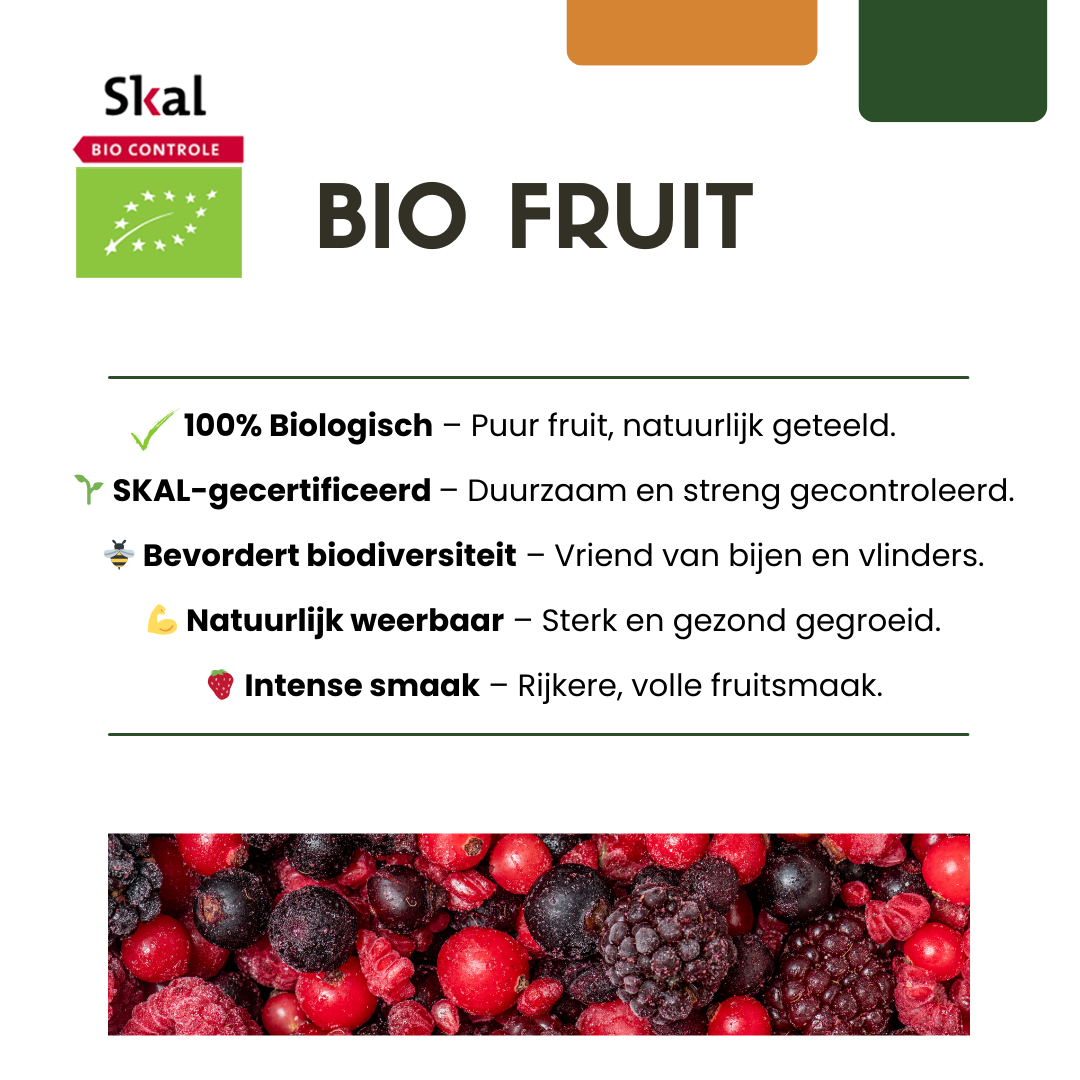 6 x Organic Grape Plants – Ø 13 cm – ↨ 20 cm