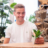 Congreetz® plantpots + Sansevieria | Bienvenue