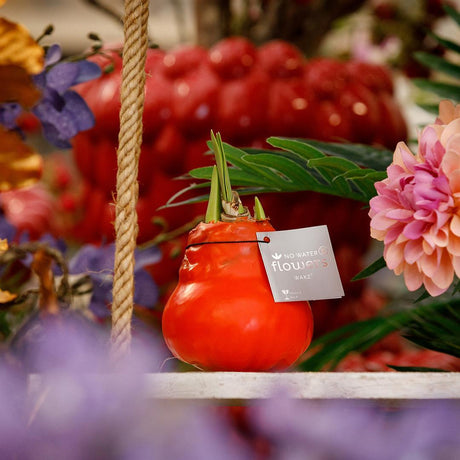 Rød blomst uden vand (6 stk.)