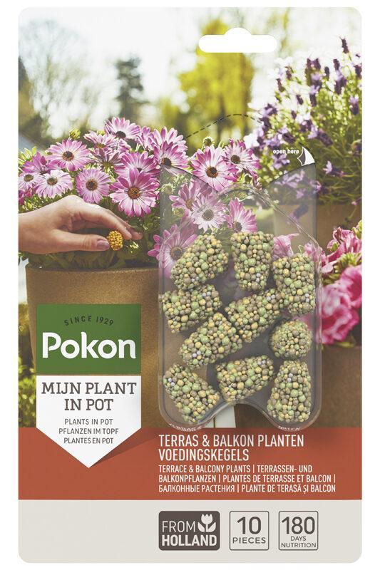 Terrace & Balcony Plants Feeding cones - 40 pieces