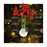 No Water Flowers - White + Red flower