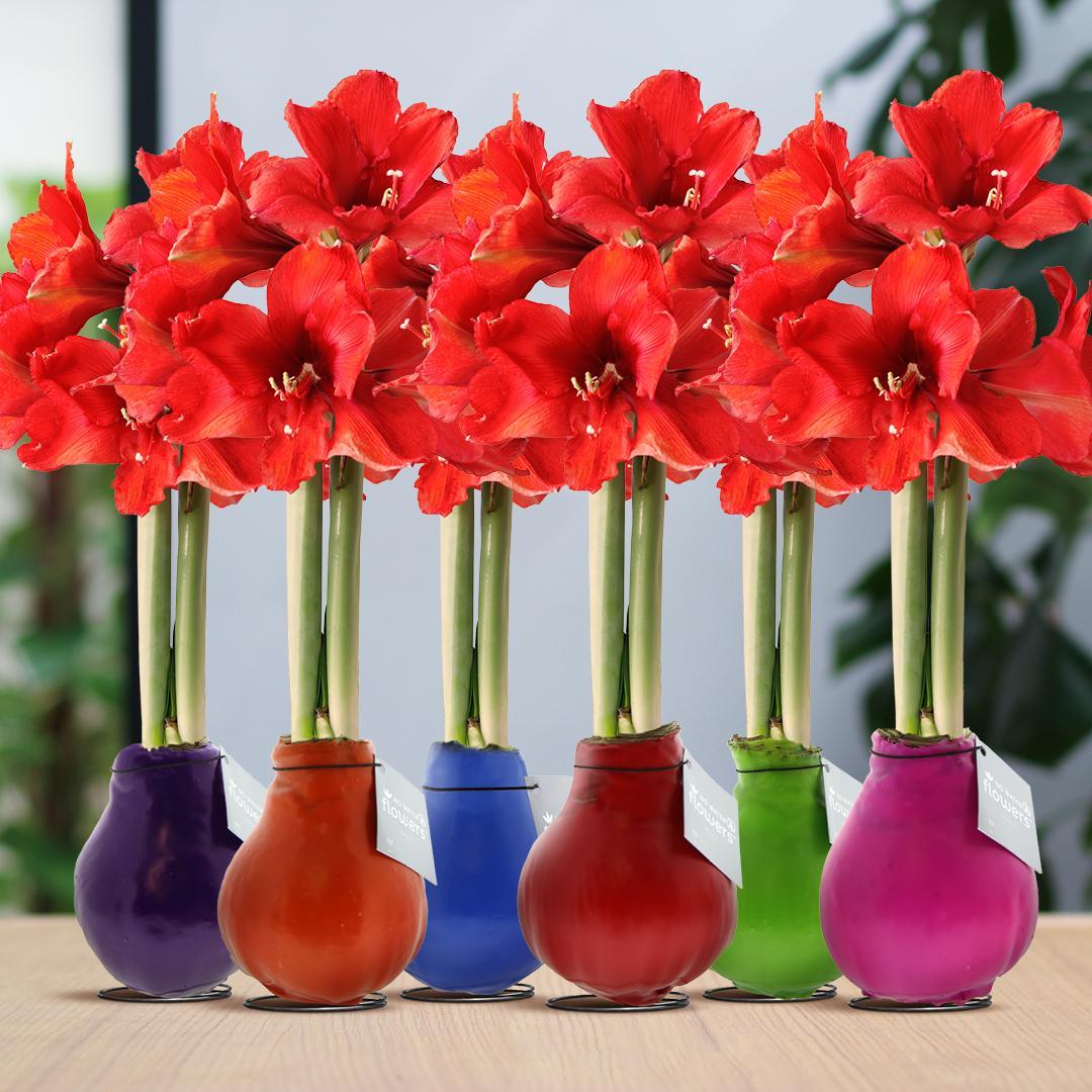 Rød blomst uden vand (6 stk.)