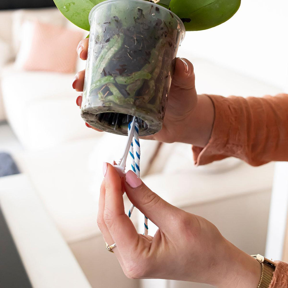 Kolibri Home | Water Wick watergeef lont (3 stuks)